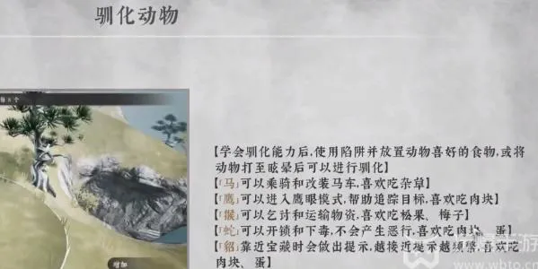 绝世好武功天人开局攻略