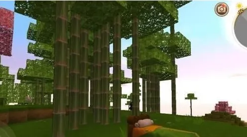 迷你世界找到竹子林方法图6
