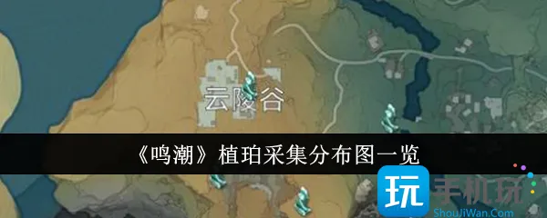 采集鸣潮植珀 分布图揭秘