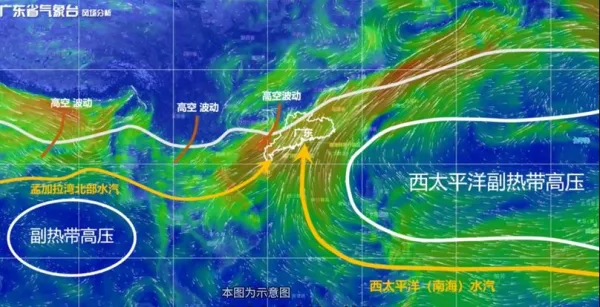 造成今年广东降水异常的成因是什么 专家解读