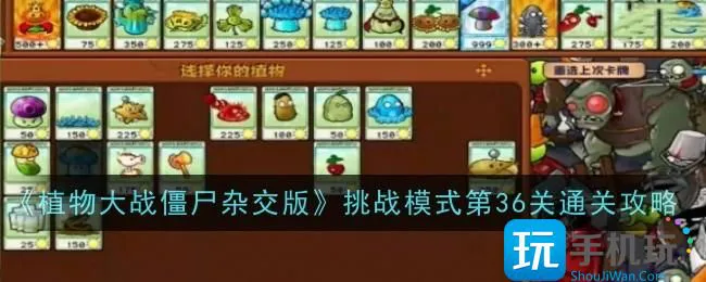 《植物大战僵尸杂交版》挑战模式第36关通关攻略